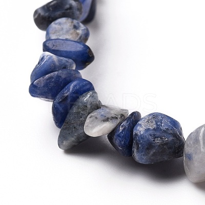 Natural Sodalite Chip Beads Stretch Bracelets BJEW-JB05765-03-1