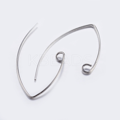 Brass Earring Hooks LS-KK-K197-60P-1