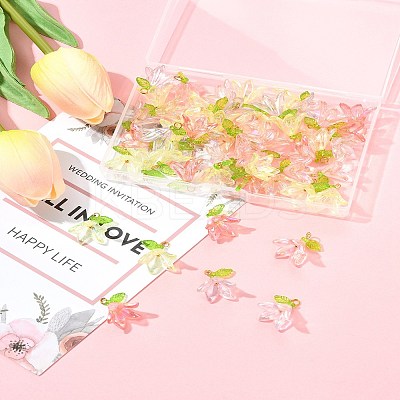 50Pcs Transparent Acrylic Pendants PALLOY-FS00043-04-1