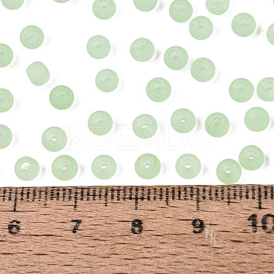 FGB Frosted Transparent Glass Seed Beads SEED-N013-02A-08-1