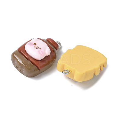 16Pcs 16 Styles Opaque Resin Pendants LS-RESI-V001-03-1