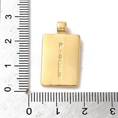 304 Stainless Steel Pendants X-STAS-L022-306G-10-1