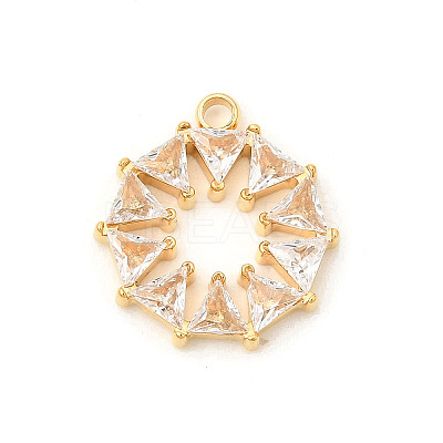 304 Stainless Steel Micro Pave Cubic Zirconia Pendants STAS-P431-15G-1