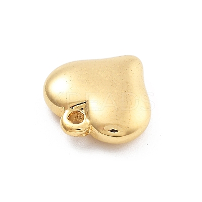 304 Stainless Steel Charms STAS-R155-054B-G-1
