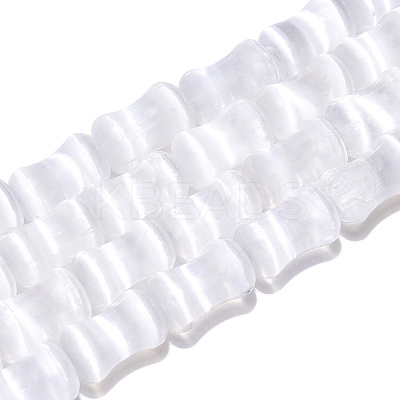 Dyed Natural Selenite Beads Strands G-T138-234A-1