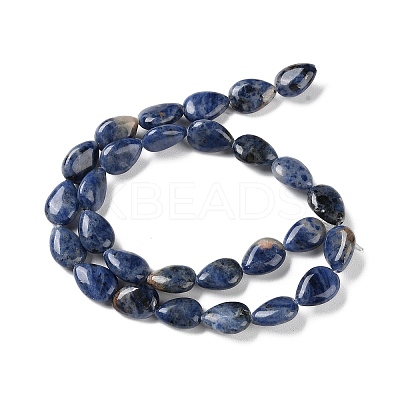 Natural Sodalite Beads Strands G-K357-A01-01-1