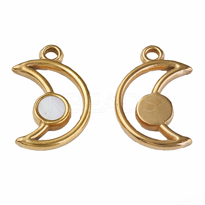 304 Stainless Steel Pendants STAS-N087-50-05G-1
