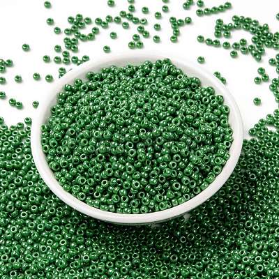 MIYUKI Round Rocailles Beads SEED-G008-RR0431-1
