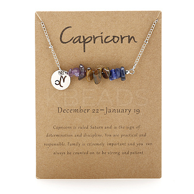 Natural Amethyst & Tiger Eye & Sodalite Chip & Alloy Constellation Pendant Necklaces WGB0CBC-05-1