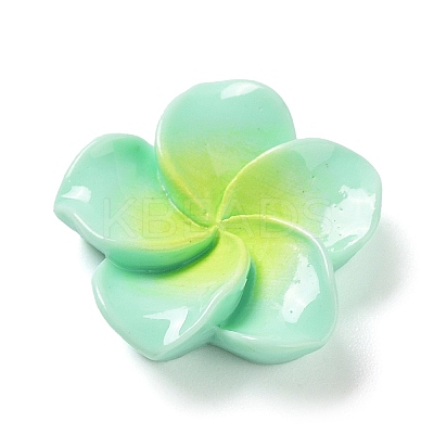 Opaque Resin Cabochons RESI-G068-02B-1