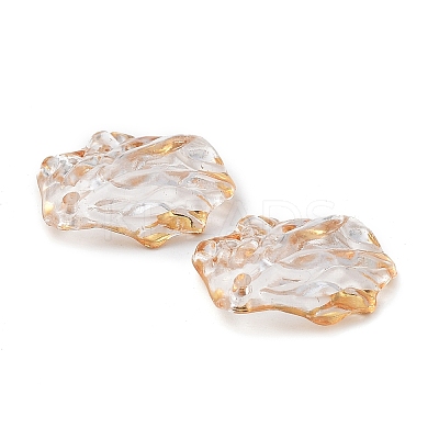 Transparent Acrylic Pendants X1-TACR-D013-03-1