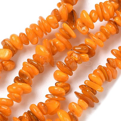 Natural Freshwater Shell Beads Strands BSHE-I016-01I-1