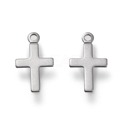 Non-Tarnish 304 Stainless Steel Charms STAS-K195-15P-1
