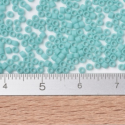 MIYUKI Delica Beads X-SEED-J020-DB1586-1