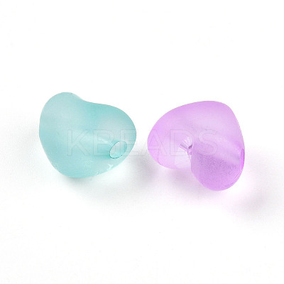 Frosted Transparent Acrylic Beads FACR-N006-02-1