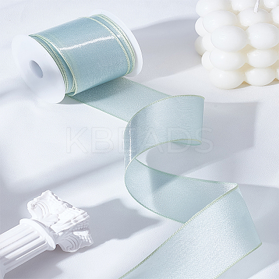 Polyester Organza Ribbon OCOR-LP0001-72-1