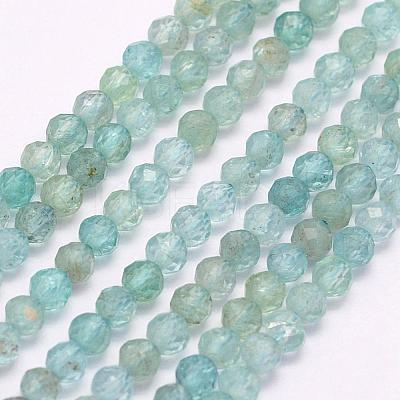 Natural Apatite Beads Strands G-I156-05-3mm-1