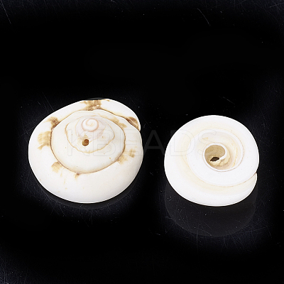 Natural Shiva Eye Shell Beads LS-SSHEL-Q302-01-1