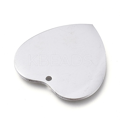 Tarnish Resistant 304 Stainless Steel Pendants STAS-L238-099B-P-1