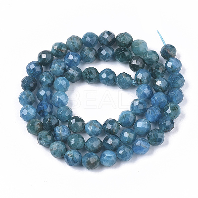 Natural Apatite Beads Strands G-S361-6mm-024-1