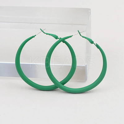 Spray Painted Alloy Hoop Earrings FS-WG43B6B-03-1