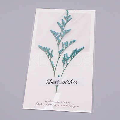 Paper Cards DIY-WH0183-41D-1
