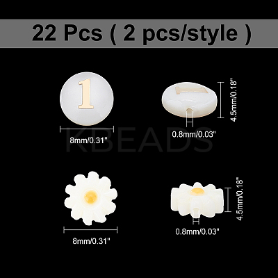 22Pcs 10 Style Natural Freshwater Shell Beads SHEL-AR0001-04-1