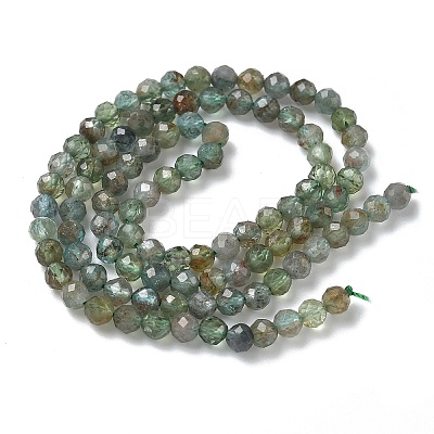 Natural Green Apatite Beads Strands G-L651-C08-4mm-1