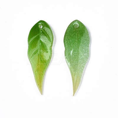 Plastic Pendants KY-N015-045-1