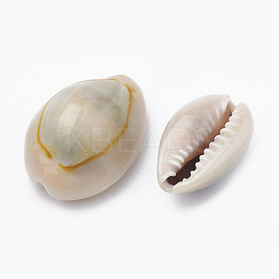Natural Cowrie Shell Beads X-SSHEL-T004-04-1