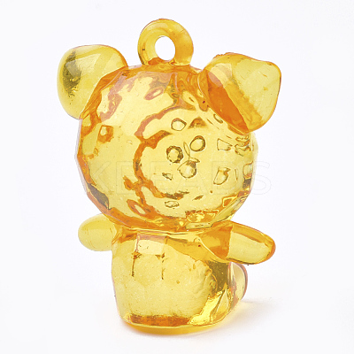 Transparent Acrylic Pendants TACR-S149-13-1