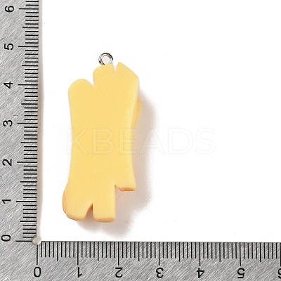Imitation Food Resin Pendants LS-FIND-B035-04C-1