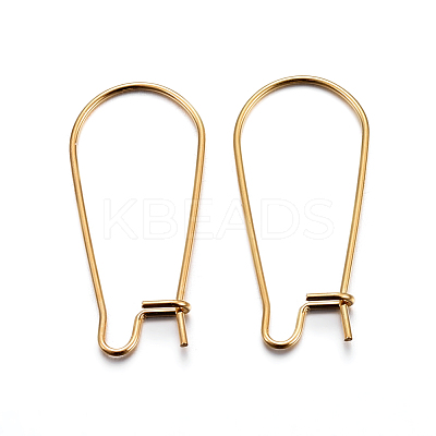 304 Stainless Steel Hoop Earring Findings STAS-P223-01G-01-1