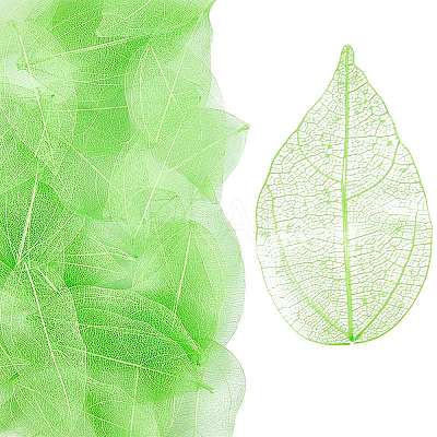 100Pcs Dried Flower Leaf Craft Supplies AJEW-CP0009-41A-1