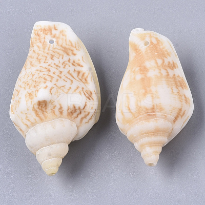 Natural Spiral Shell Pendants SSHEL-N035-02-1
