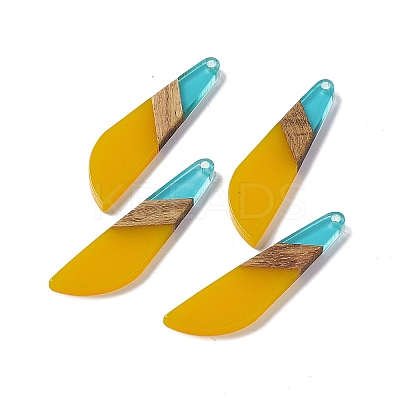 Transparent Resin & Walnut Wood Big Pendants RESI-M027-07F-1