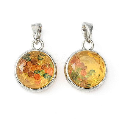 Plastic Floating Charms Brass Pendants KK-S080-01P-1