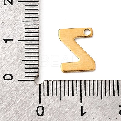 304 Stainless Steel Charms LS-STAS-B093-12G-Z-1