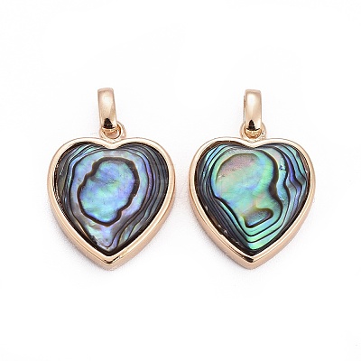 Natural Abalone Shell/Paua ShellCharms X-BSHE-F011-04B-G-1