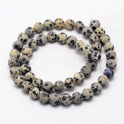 Natural Dalmatian Jasper Beads Strands G-D685-10mm-1