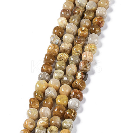 Natural Fossil Coral Beads Strands G-C038-02T-1