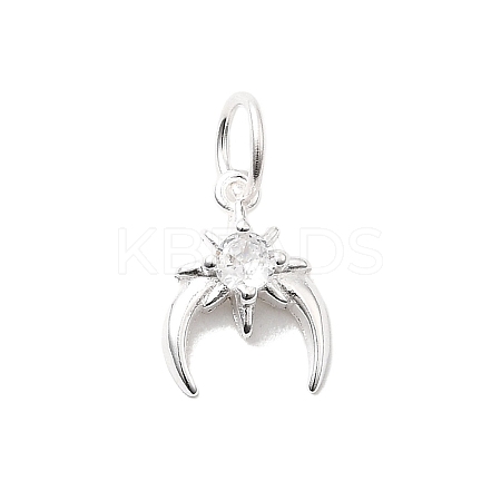 925 Sterling Silver Micro Pave Cubic Zirconia Charms STER-D309-01A-S-1