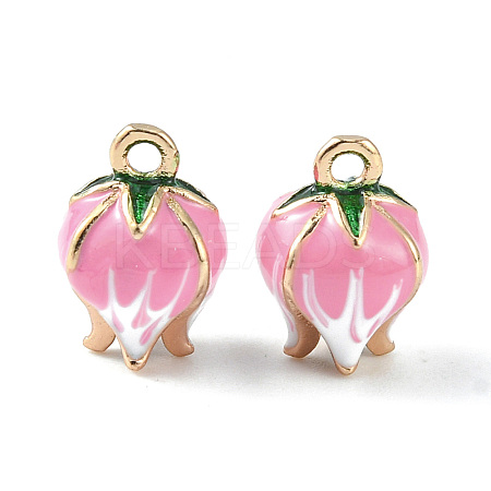 Brass Enamel Charms X-KK-G462-30LG-1