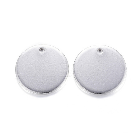 Tarnish Resistant 304 Stainless Steel Charms STAS-G122-23P-1