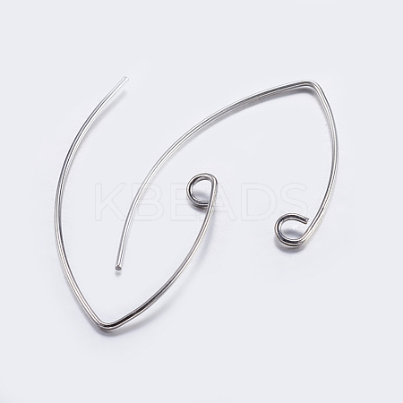 Brass Earring Hooks LS-KK-K197-60P-1
