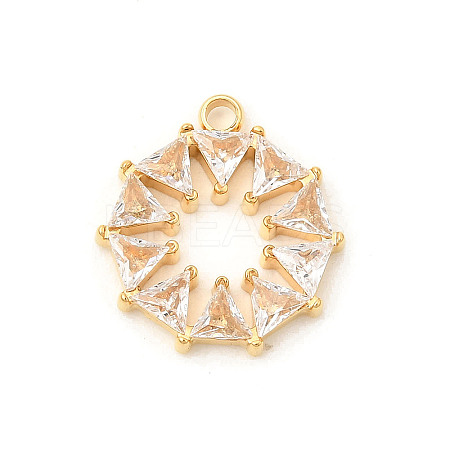 304 Stainless Steel Micro Pave Cubic Zirconia Pendants STAS-P431-15G-1