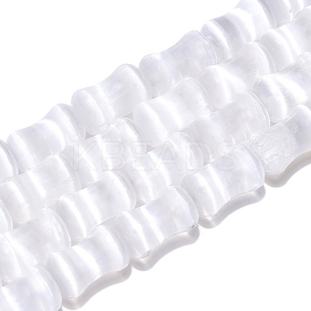 Dyed Natural Selenite Beads Strands G-T138-234A-1