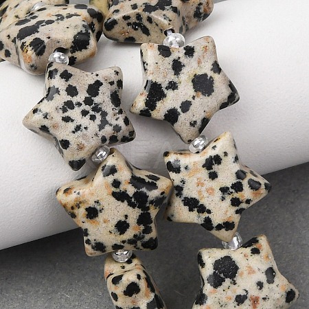 Natural Dalmatian Jasper Beads Strands G-K359-E12-1