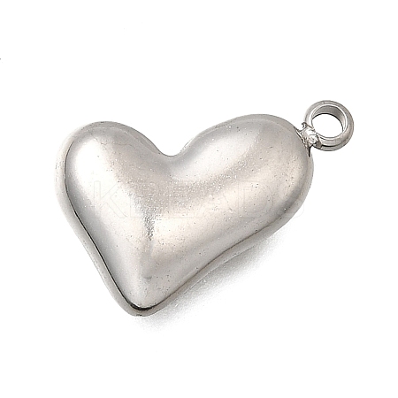 304 Stainless Steel Pendants STAS-Z163-18P-1
