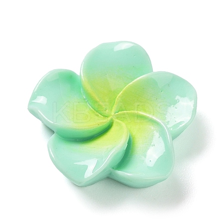 Opaque Resin Cabochons RESI-G068-02B-1